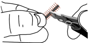 Headers
